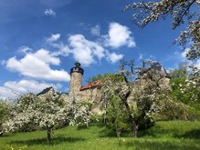 Ausicht auf die Burg Zwernitz