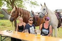 Reiter auf Bierbänken mit Pferden