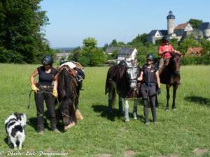 Wanderreiter mit ihren Pferden vor Burg Zwernitz