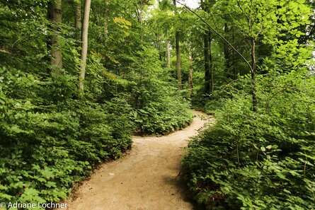Felsengarten Sanspareil
