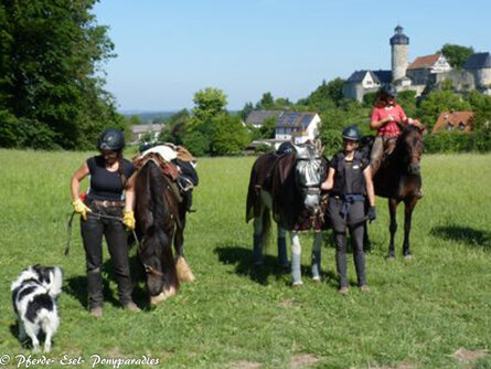 Wanderreitstation Sanspareil