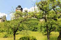 Aussicht auf Burg Zwernitz